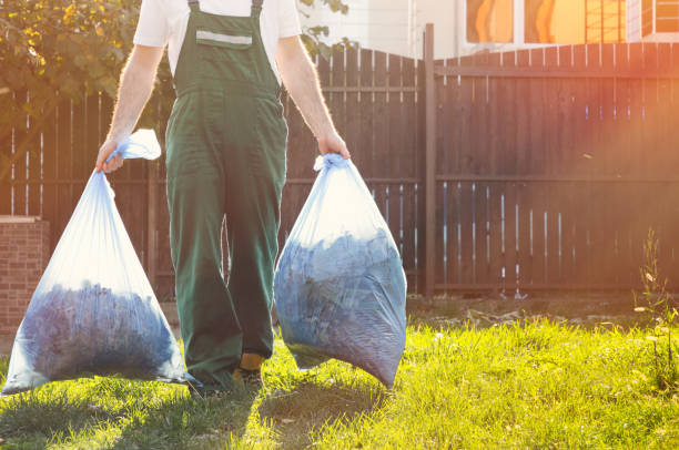 Yard Cleanup Services in St Joseph, MN